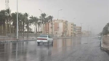 تحديث الطقس اليومي  أمطار ورياح تضرب القاهرة والمحافظات